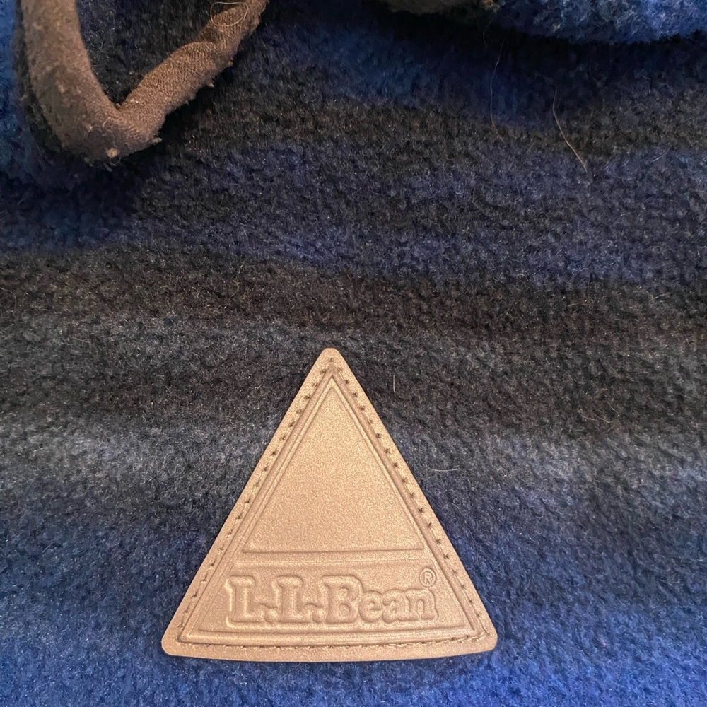 L.L. Bean Blue and Gray Hooded Jacket with Sporty Design - Picture 3 of 6